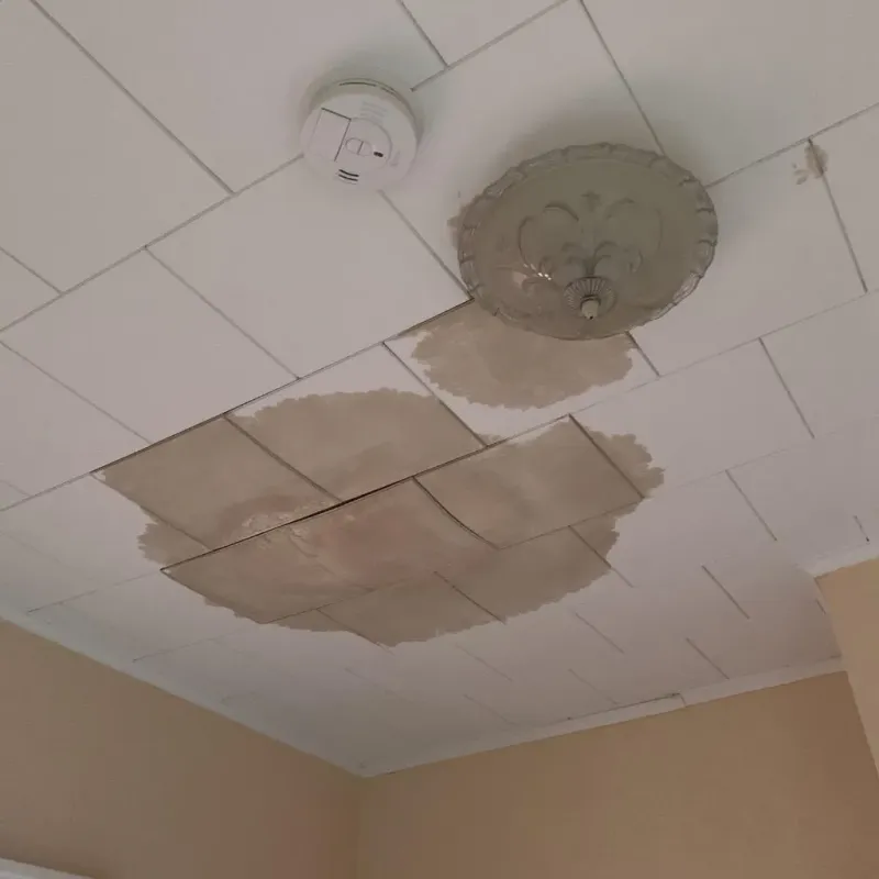 Ceiling Water Damage Repair in East Jordan, MI
