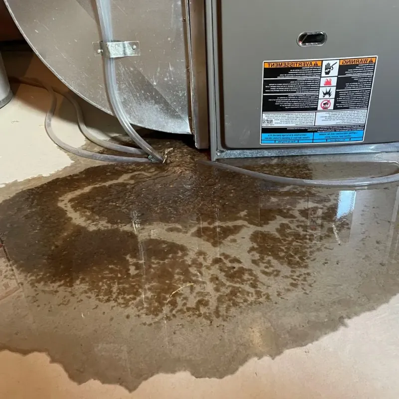 Pipe Burst and Leak Restoration in East Jordan, MI