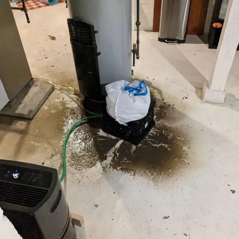 Sewage Backup Cleanup Service in East Jordan, MI
